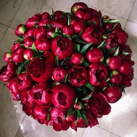 Викусик Медовник  ♥ VICTORY ♥