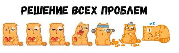 Работает 100%