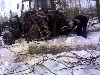 МТЗ - 82 трелюет лес / MTZ - 82 forest trellech