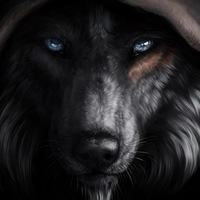 Евгений Черных