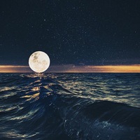 Данила Емельянов | 