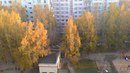 Объявление от Анастасия - фото №1