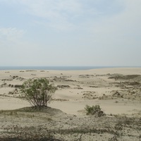 Маргарита Баранникова