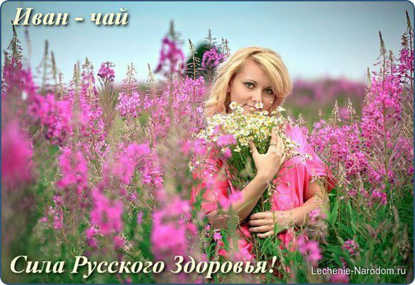 Сила Русского Здоровья! Или статья о том, что выжигали на полях России фашисты, чего дико боится режим США, и то — о чем вы не знали. Сила Русского Здоровья! Или статья о том, что выжигали на полях России фашисты, чего дико боится режим США, и то — о чем вы не знали.