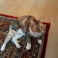 Екатерина Третьяк | 