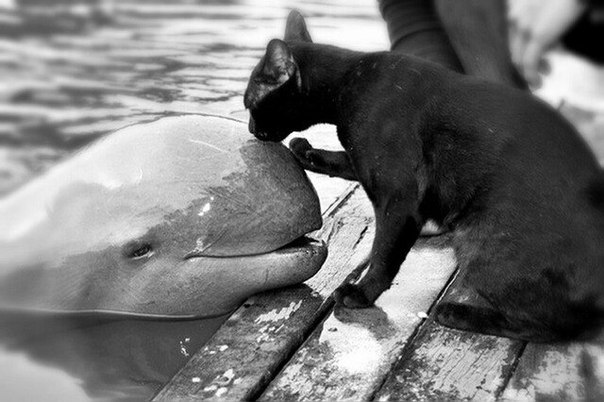 Валентин Пашкин, Украина, Малин