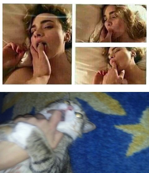 FOGwW_sLohM.jpg