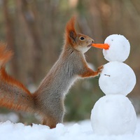 Ирина Филонова | Благовещенск