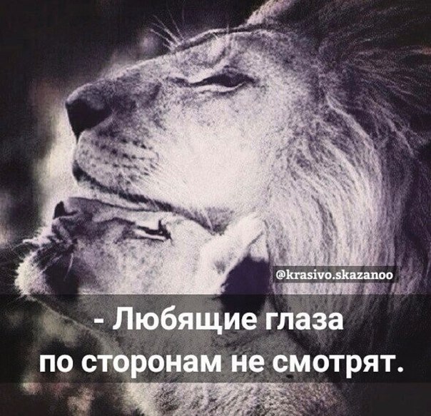 Любящие глаза по сторонам не смотрят картинки с надписью