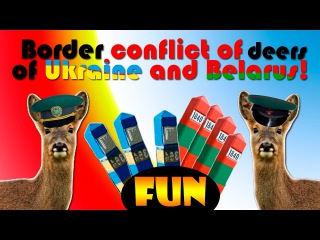 Border conflict of deers of Ukraine and Belarus! Funny video!