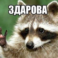 Михаил Красников | 