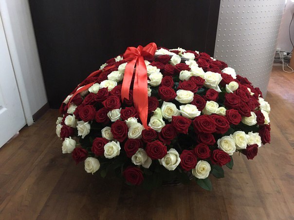 Заказ цветов 251 роза