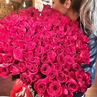 Екатерина Анфимова | 