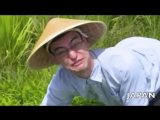 FilthyFrank - WELCOME TO THE RICE FIELDS MOTHERFUCKER