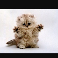 Вика Константинова | Можга