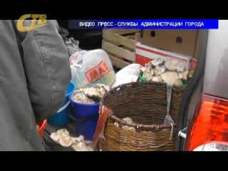 О ЗАДАЧАХ АДМИНИСТРАТИВНОЙ КОМИССИИ