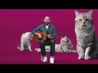 Музыка из рекламы Whiskas - Котозависимость (Семён Слепаков) (Россия) (2017)