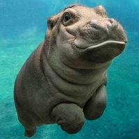 Владислав Корозников