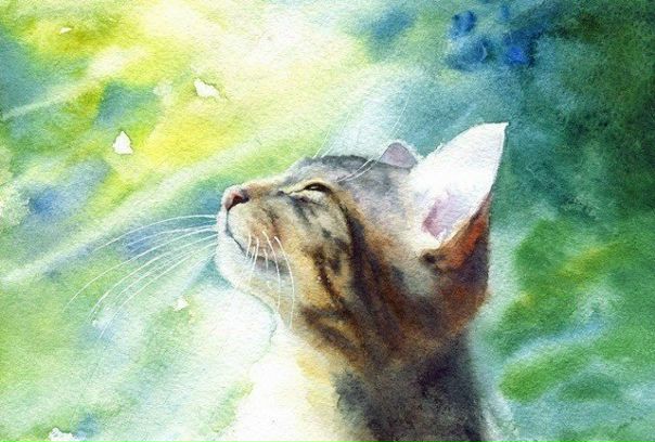 Какая разница, кто сильнее, кто умнее, кто красивее, кто богаче Ведь, в конечном итоге, имеет значение только то, счастливый ли ты человек или нет. 