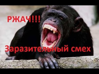 Ржач. Заразительный смех. ТОП! Подборка приколов