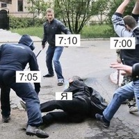 Илона Буш