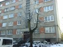 Объявление от Евгений - фото №1