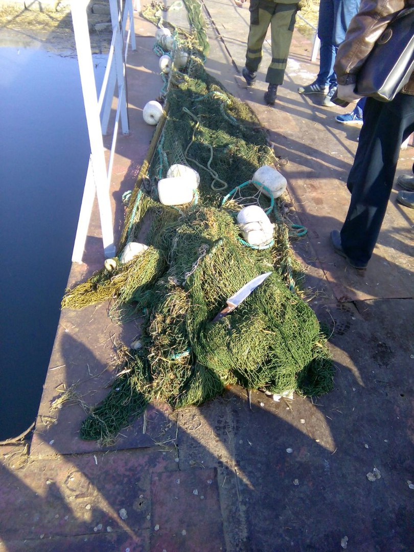 В Таганрогском заливе задержали браконьеров с тремя тоннами незаконно добытой рыбы В Таганрогском заливе задержали браконьеров с тремя тоннами незаконно добытой рыбы