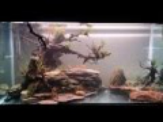 The Blue Lagoon. How to Decorate a Freshwater Aquarium. Aquascaping.