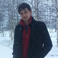 Василий Медведкин