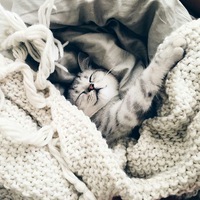 Анжелика Яшина