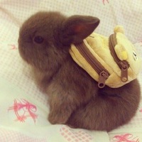 Алексей Остапенко | Киев