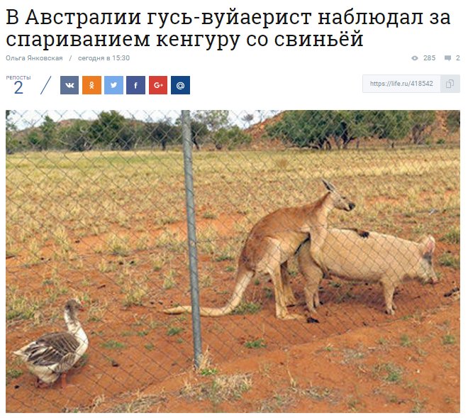 SvrI_wxikPg.jpg