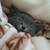 Фото пользователя Meow