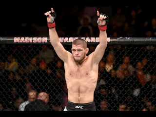 UFC 209: Обратный отсчет к бою Нурмагомедов vs Фергюсон