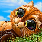 Инди Кот