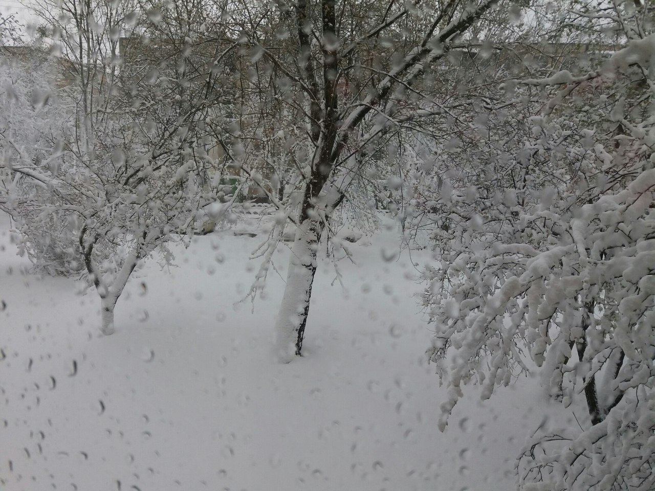 Чайная беседка