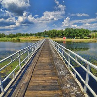 Роман Попов