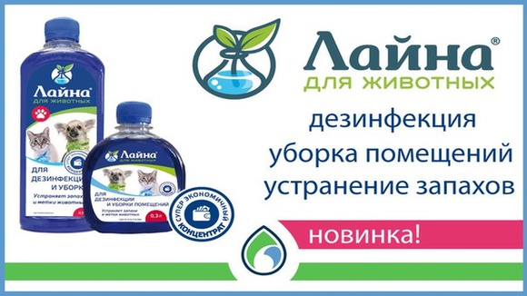 Аф Аф Интернет Магазин Красноярск