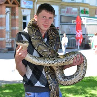 Дима Новиков