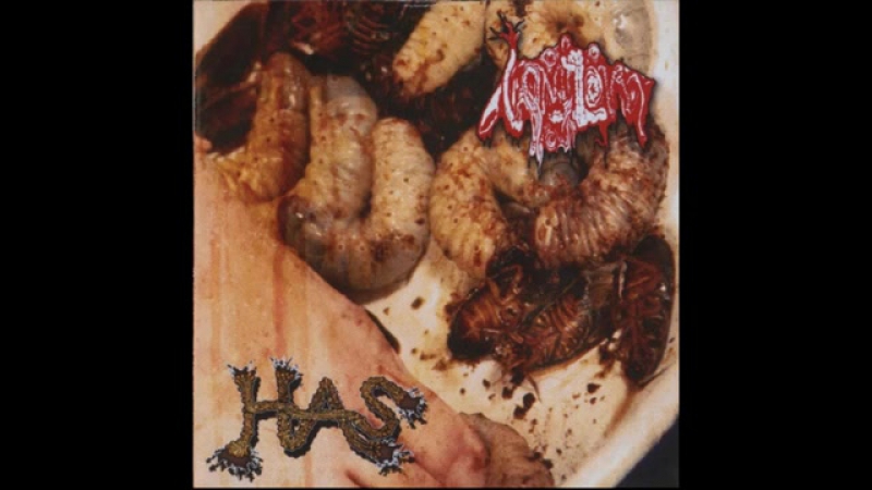 VOMITOMA - FULLALBUM