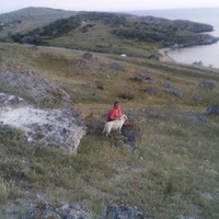 Наталья Холфина