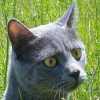 Дмитрий Сериков