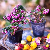 Галина Зюбина