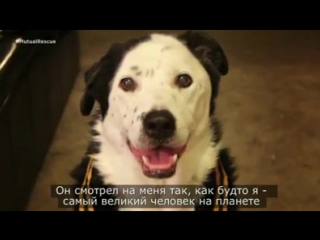Возраст счастья