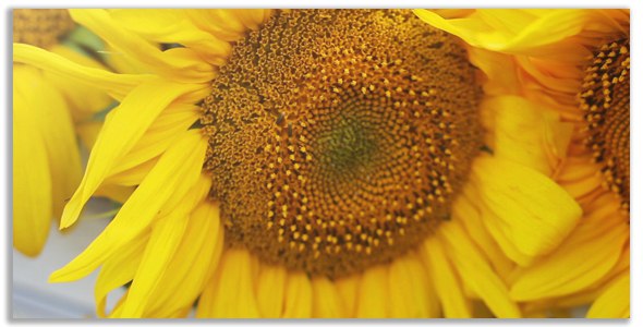 Happy Time - Photo Gallery - 5