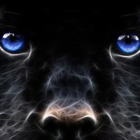 Алексей Рублев | Москва