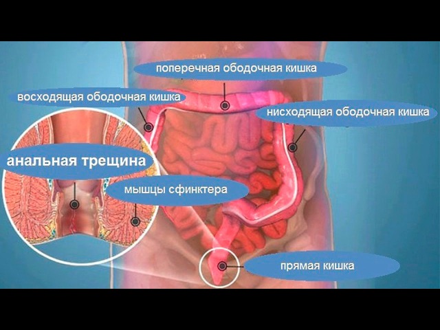 хорошо Сексуально трясет попой статья интересная. Давайте