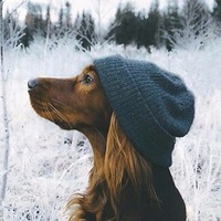 Аня Иванова