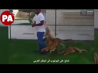 بيهزر مع أصحابه بالأسد ومعاه عياله شوفتوا الهبل يا جدعان