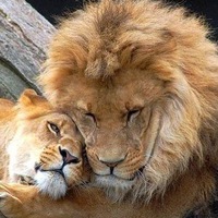 Игорь Наяндин